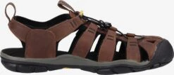Keen Schoenen Sandalen CLEARWATER CNX Heren Brokaat -kledingwinkel 743d55e973117997079cee6326557323