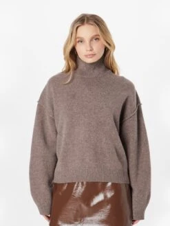 WEEKDAY Fijngebreide Truien Trui Norah Dames Bruin -kledingwinkel b4273b8f61fb4ad2788c986c1dd37ca0