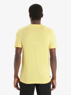 Icebreaker Functionele Shirts Functioneel Shirt Heren Geel -kledingwinkel e6264bae8d85b27ccf9f694ac71830f2